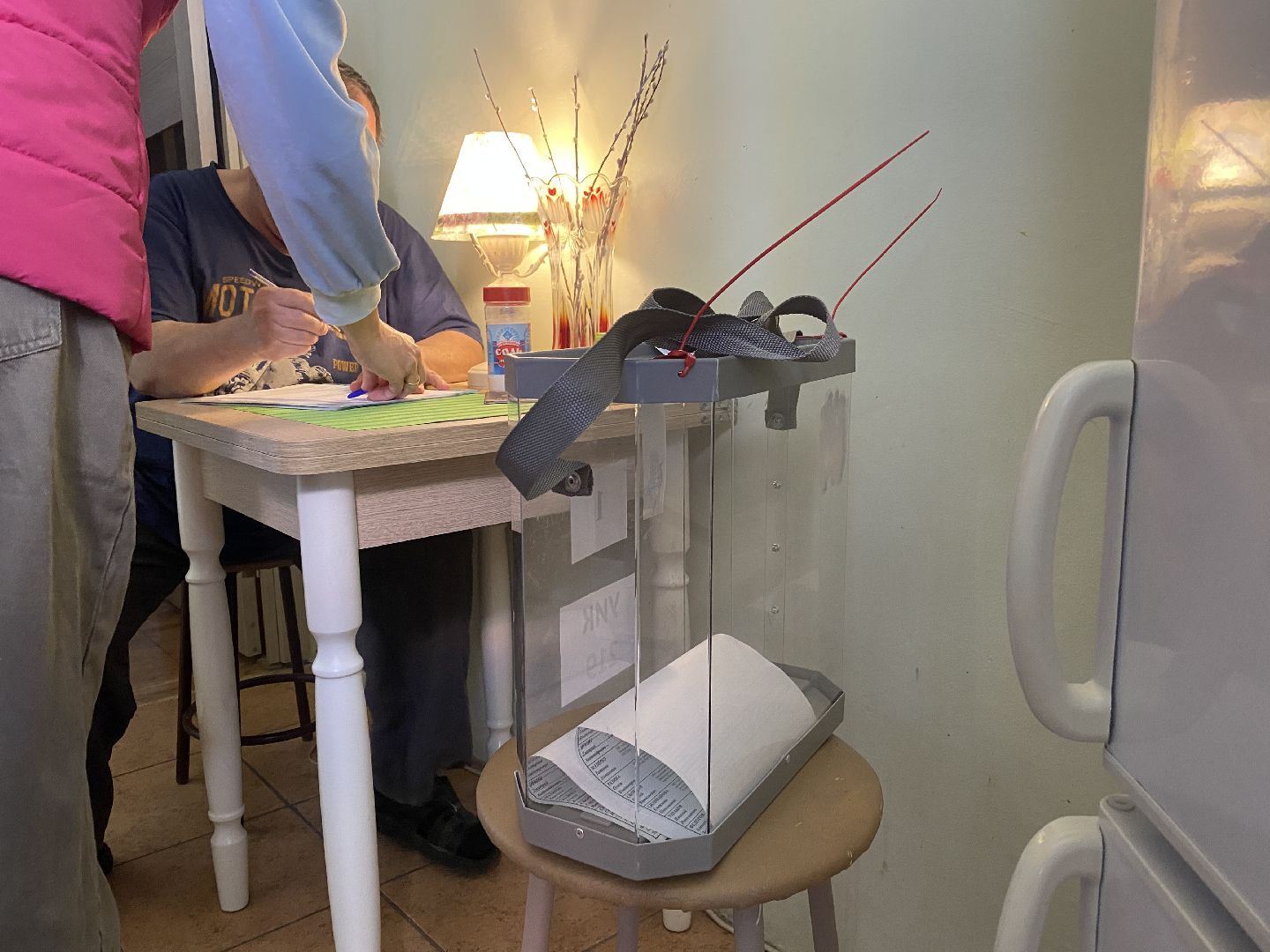 выборы 2024, Власиха голосует, Выборы на дому, Совет депутатов Власиха, УИК-219 Власиха,