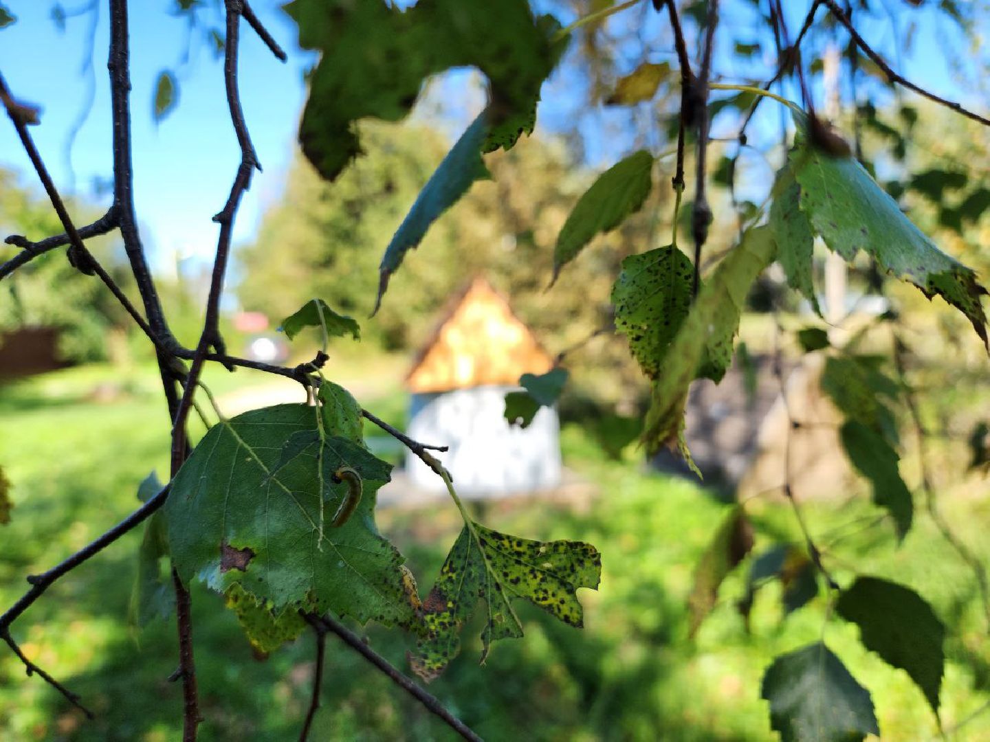 можайск, можайский городской округ, подмосковье, питьевые колодцы, ремонт колодцев, муниципальная программа, благоустройство,