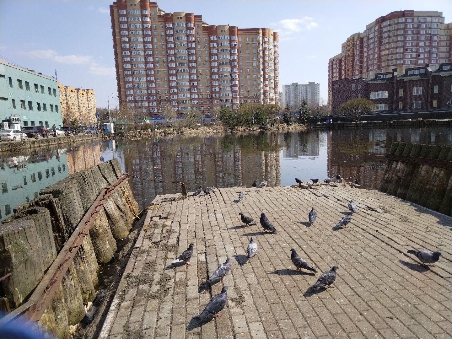 Благоустройство, Мытищи, сквер, жильё и городская среда