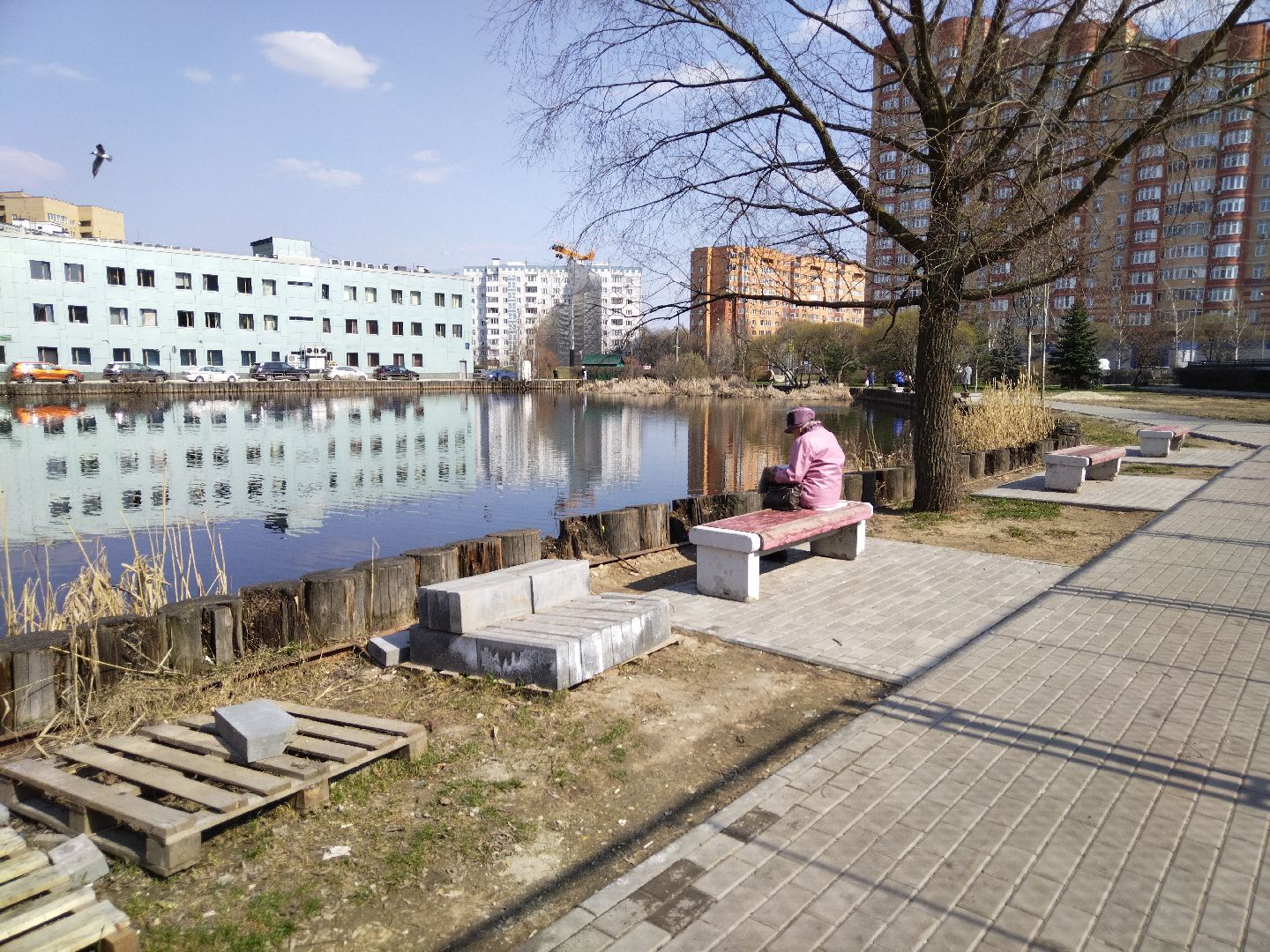 Благоустройство, Мытищи, сквер, жильё и городская среда