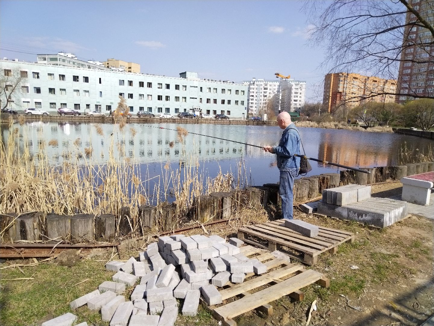 Благоустройство, Мытищи, сквер, жильё и городская среда
