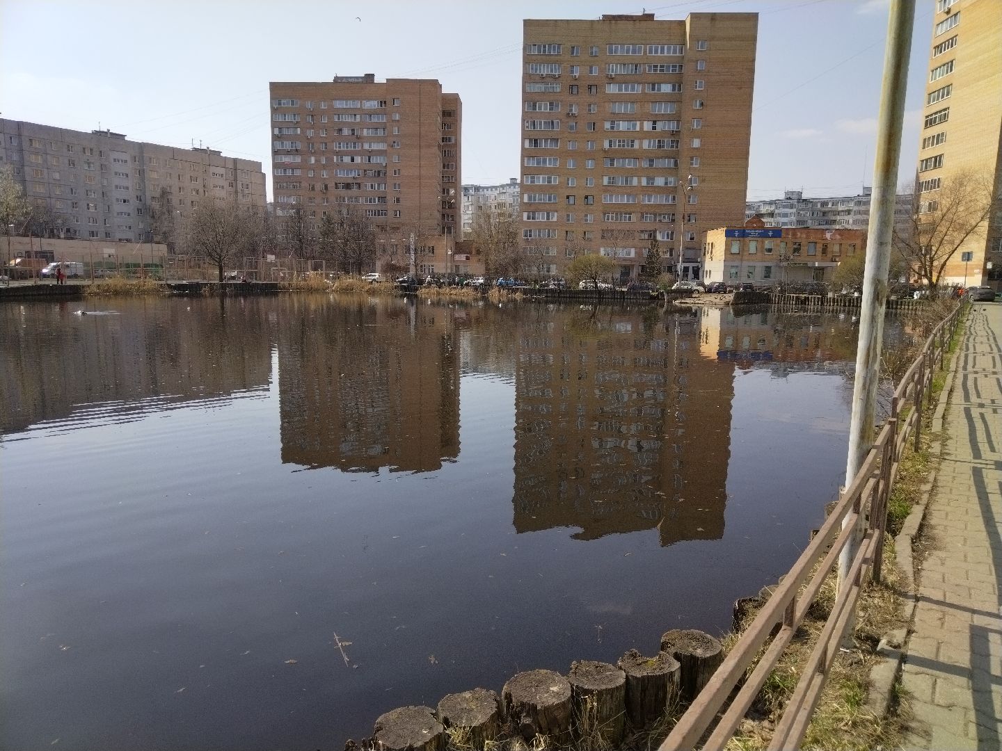 Благоустройство, Мытищи, сквер, жильё и городская среда