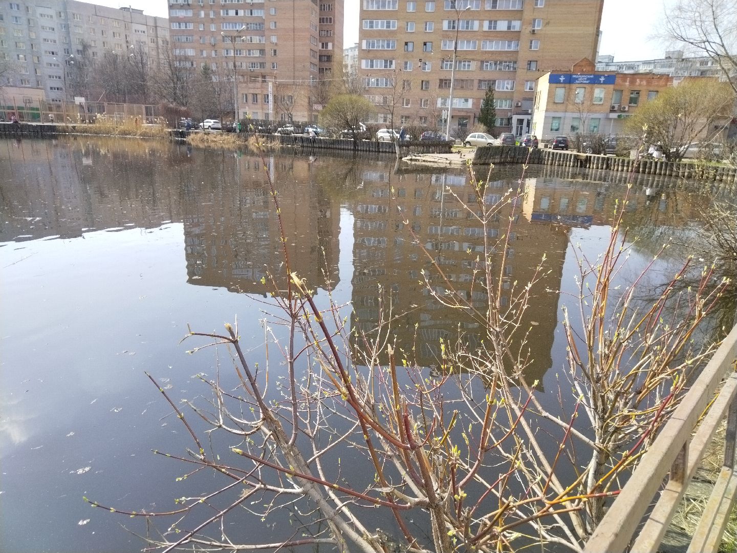 Благоустройство, Мытищи, сквер, жильё и городская среда