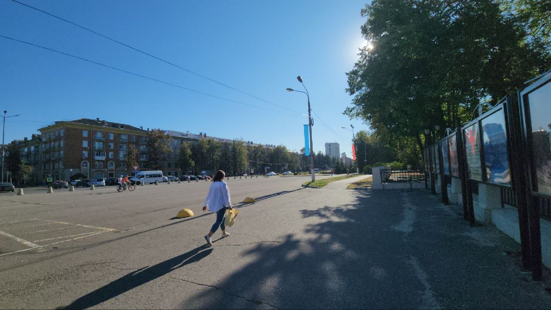 выборы, жуковский, избирательные участки,