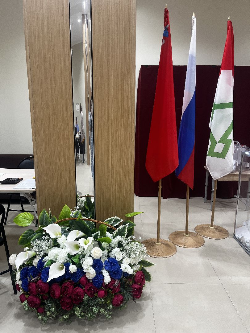 выборы, выборы в совет депутатов,