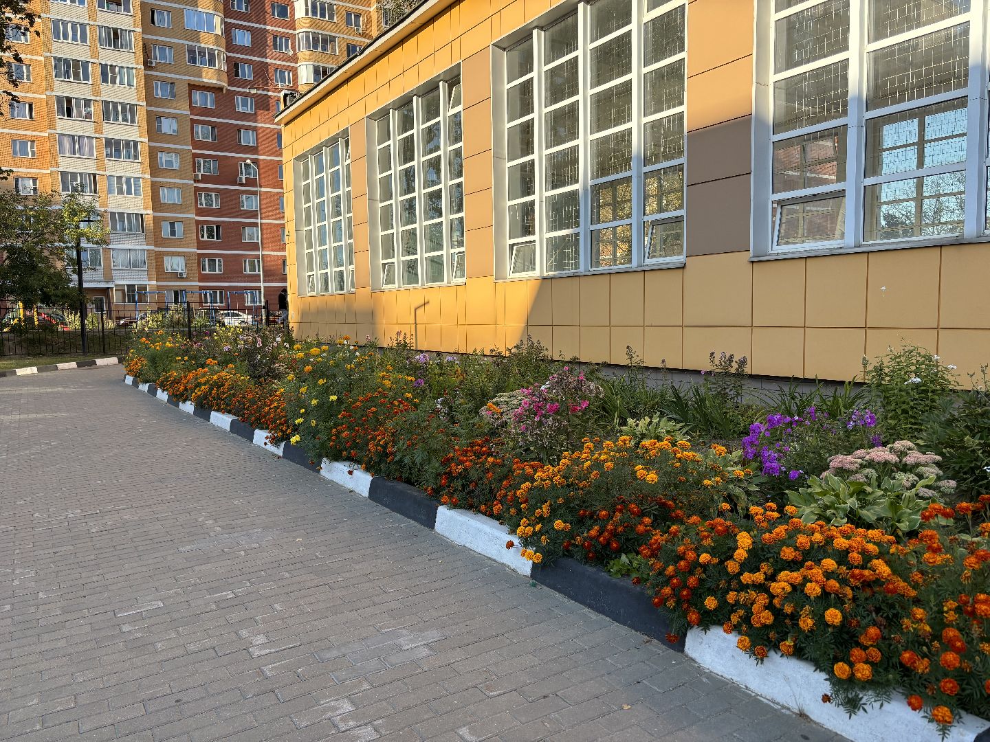 учитель начальных классов, новый специалист, школа 8, кучино,