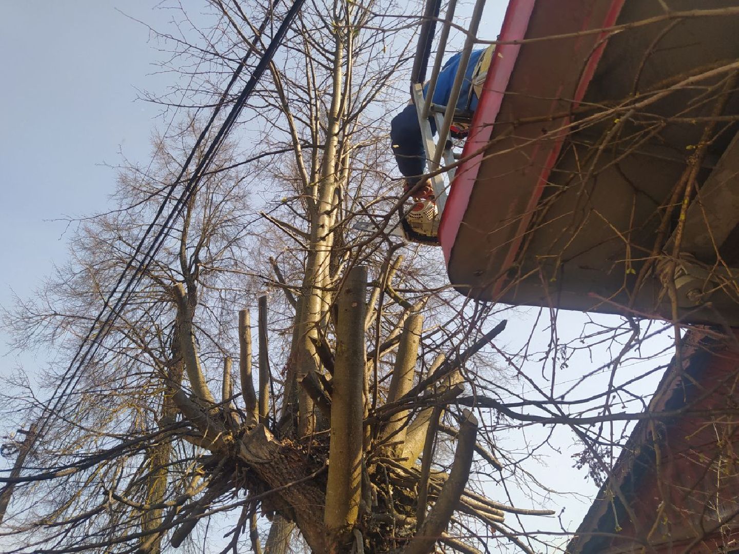 Иста, Опиловка, ЖКХ, Капремонт, кронирование