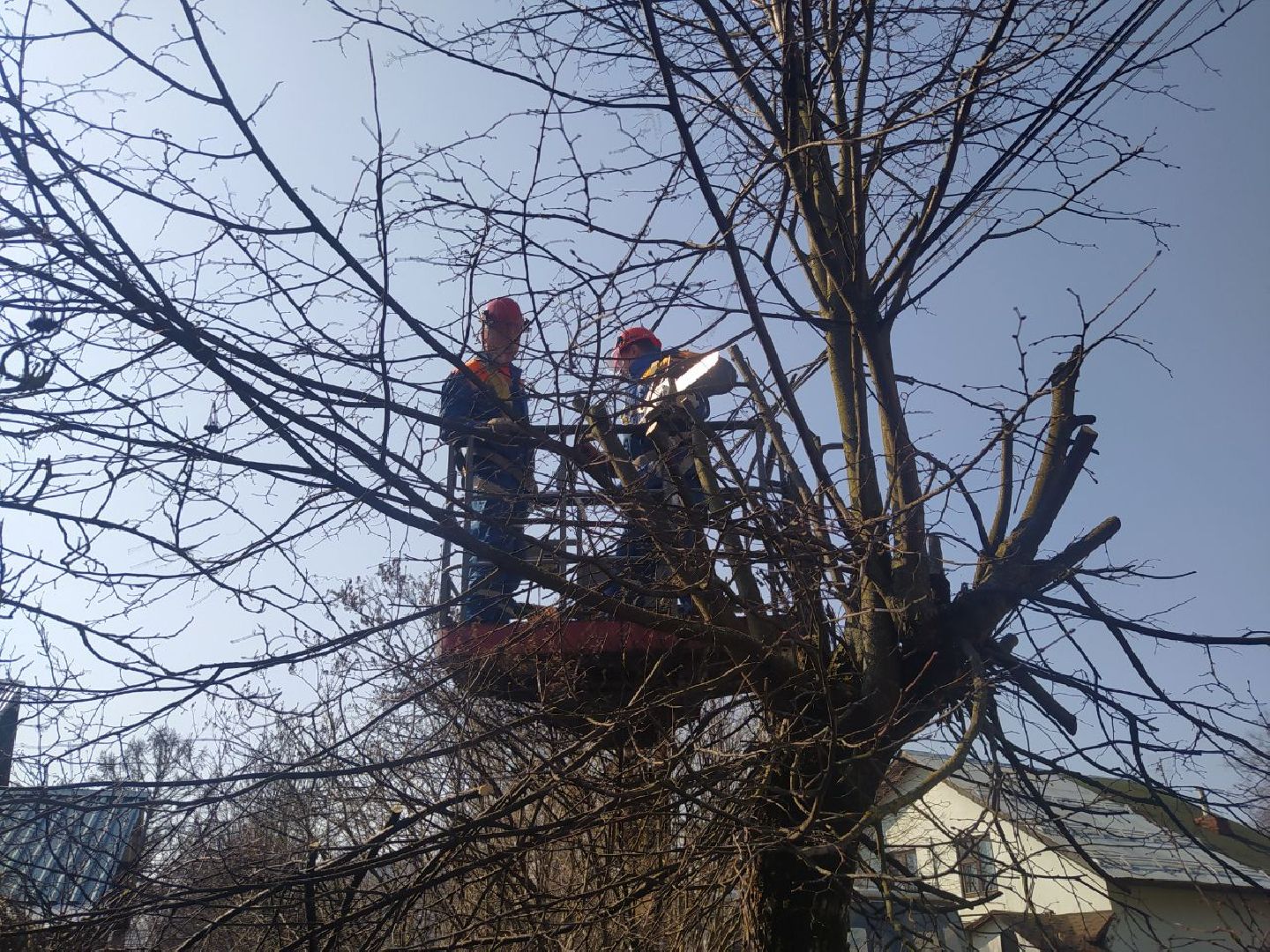 Иста, Опиловка, ЖКХ, Капремонт, кронирование