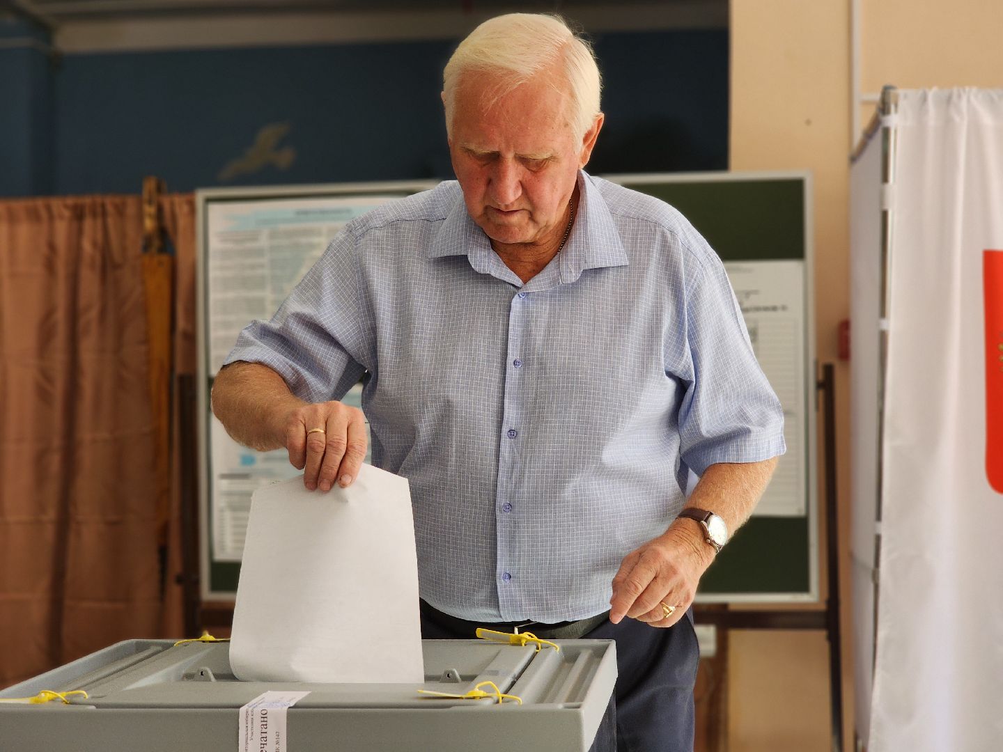 воскресенск, выборы депутатов, голосование, голосование 2024,