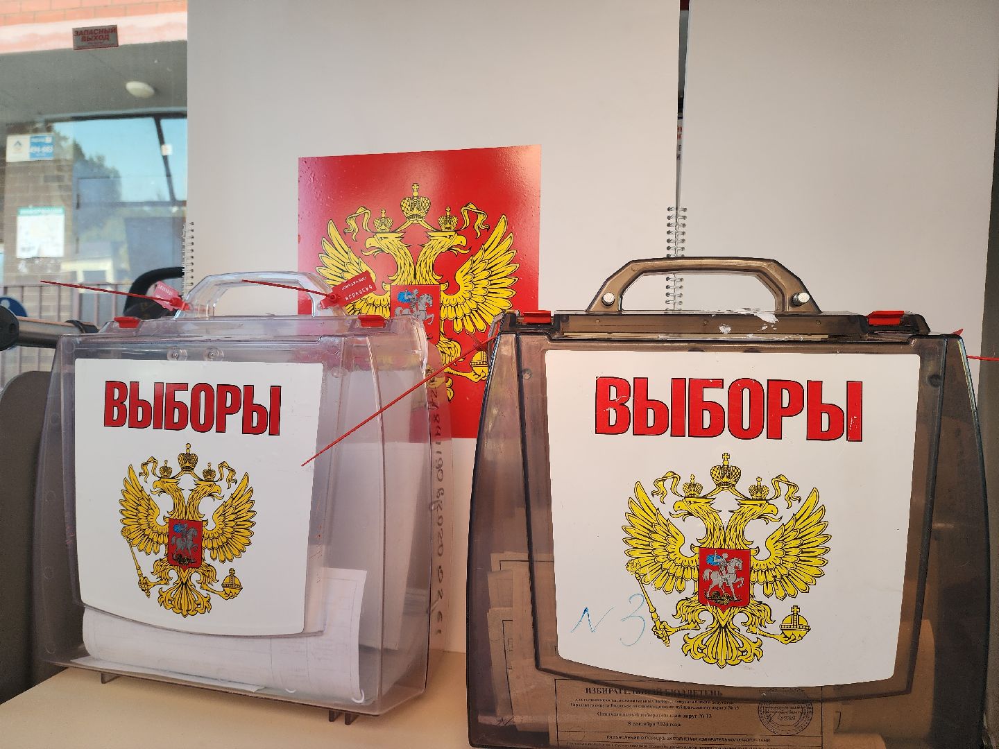 Подольск, выборы 2024, дополнительные выборы, выездное голосование,