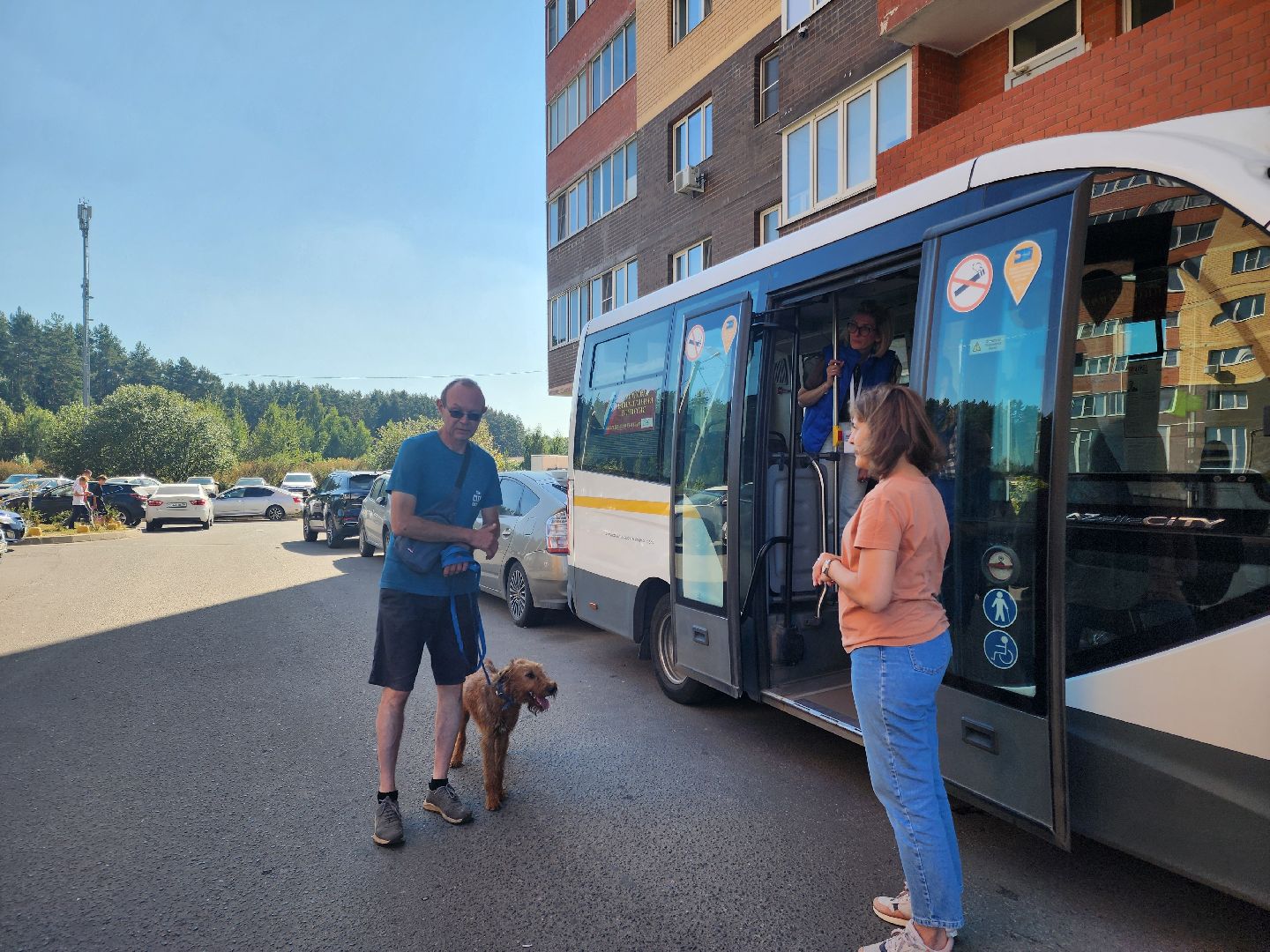 Подольск, выборы 2024, дополнительные выборы, выездное голосование,