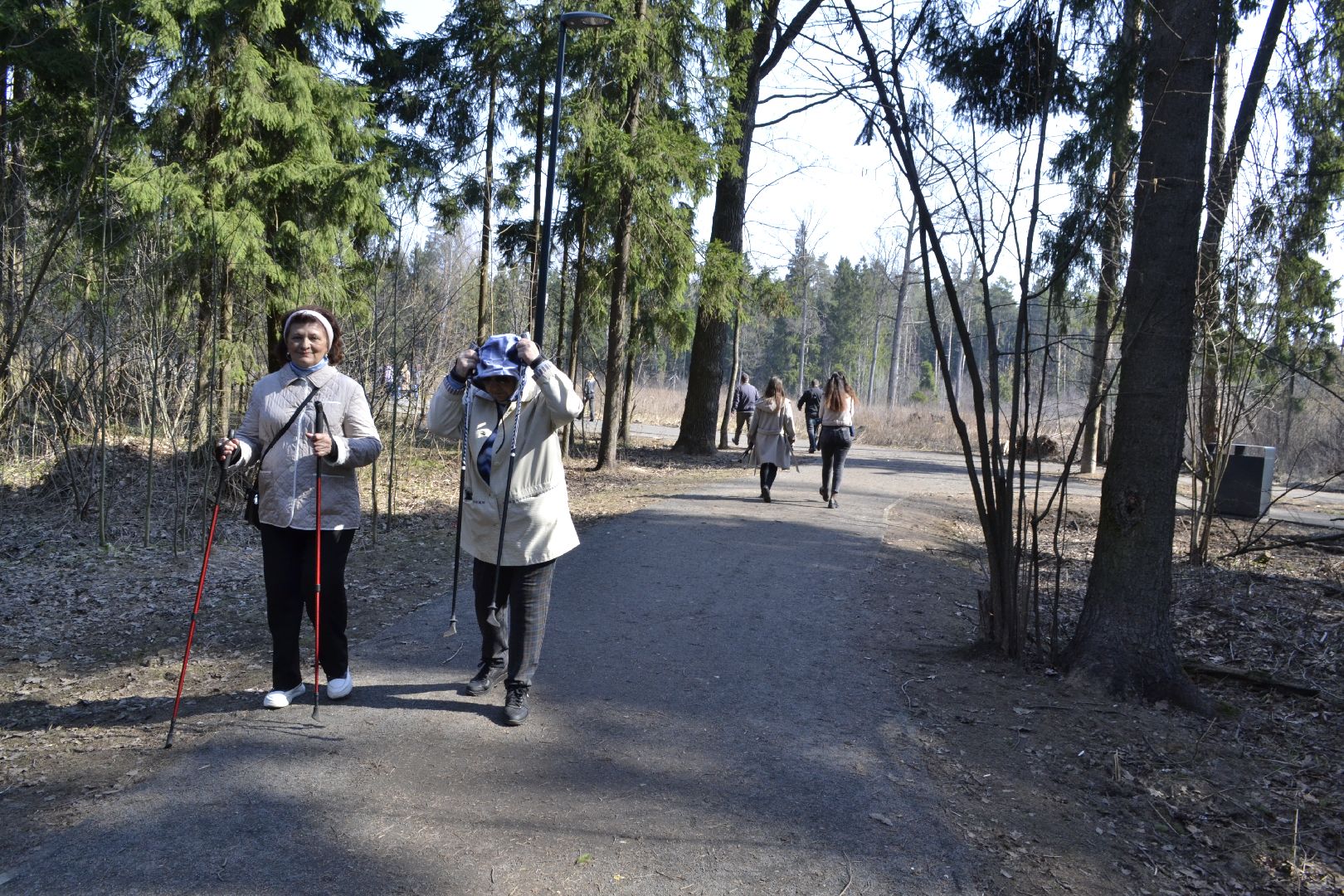 Балашиха, Подмосковье, Парки в лесу, благоустройство, Сергей Юров, Ольгинский лесопарк