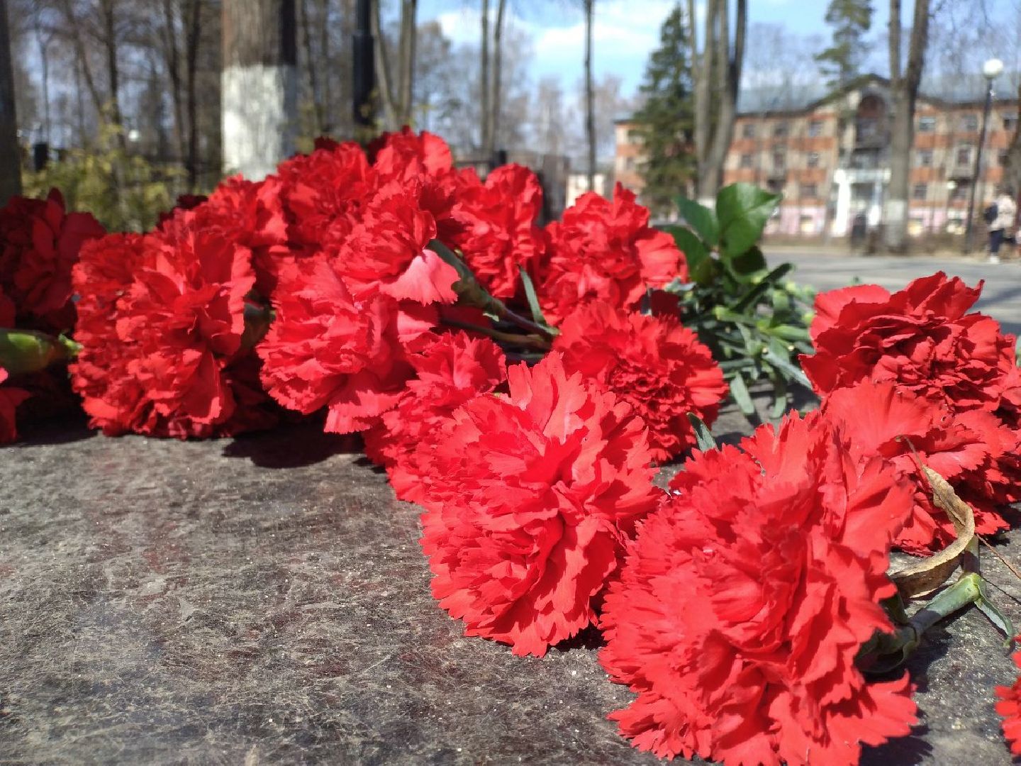 День космонавтики, праздник, Монино