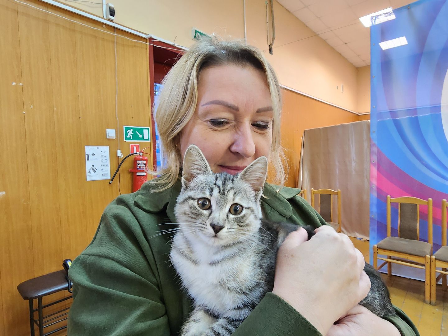 волоколамск, луна, кошка, выборы, эксклюзив,