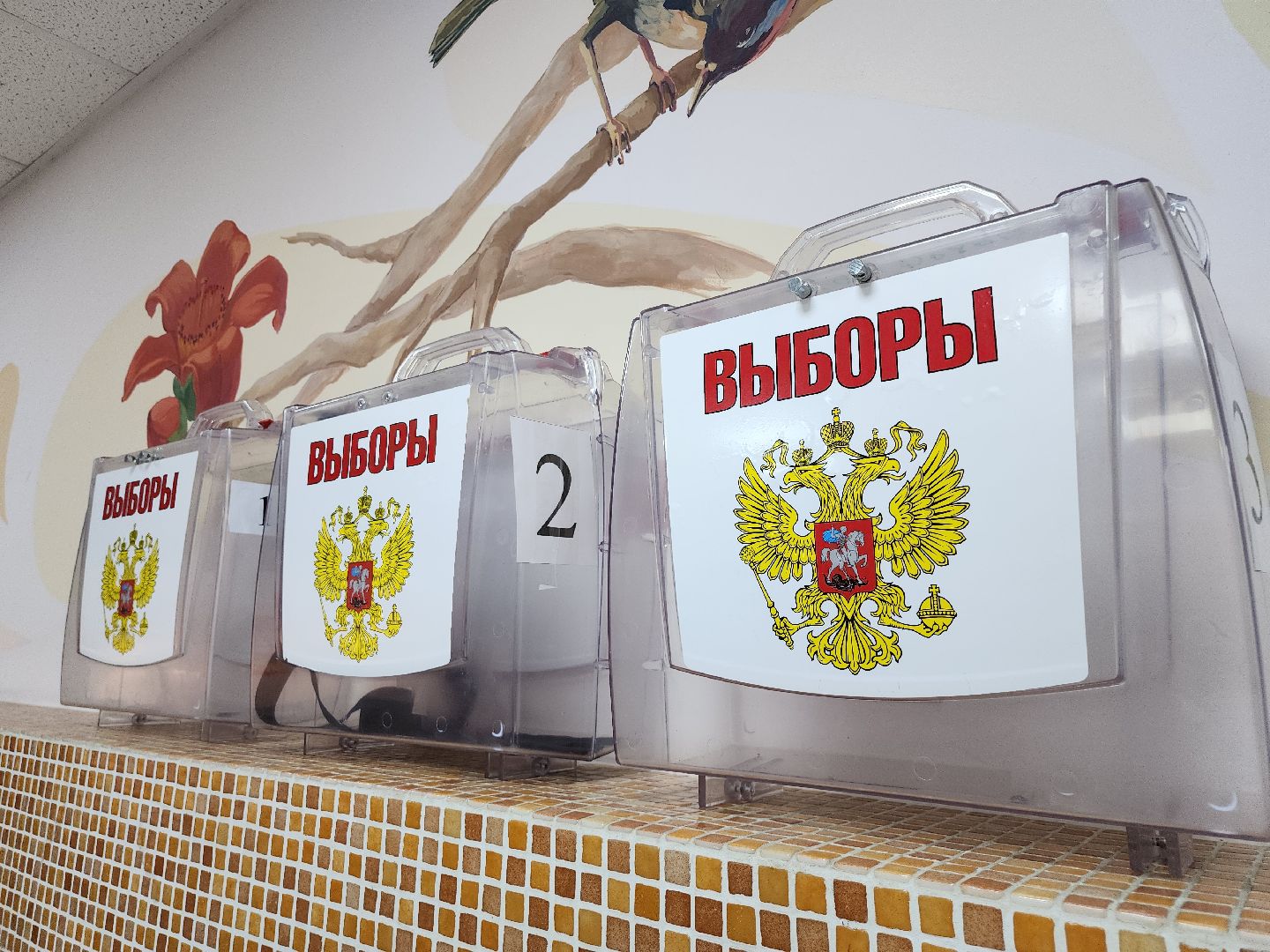 выборы, выборы 2024, голосование, второй день голосования, уик 1300, видное, выборы в совет депутатов ленинского округа, муниципальные выборы,