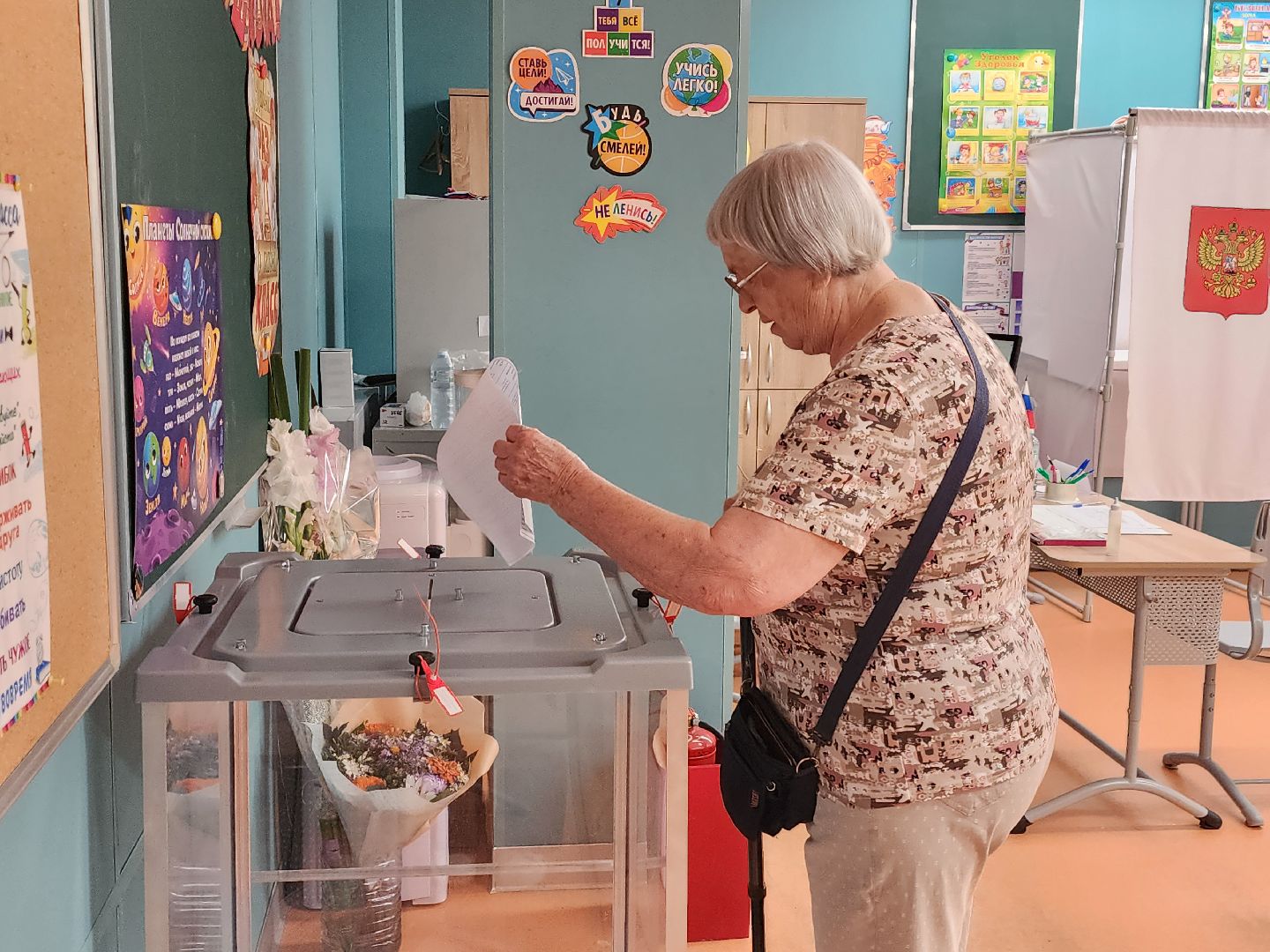 Выборы, общественная палата мо, королёв,