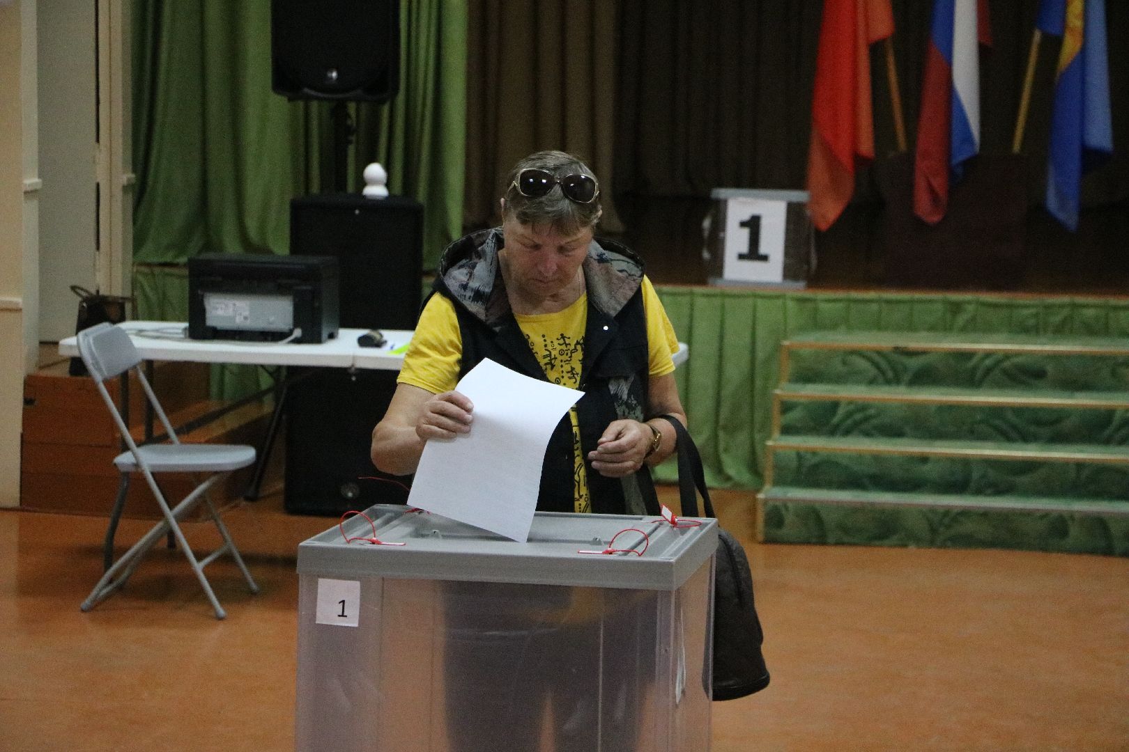 лотошино, выборы 2024, выборы в совет депутатов 2024,