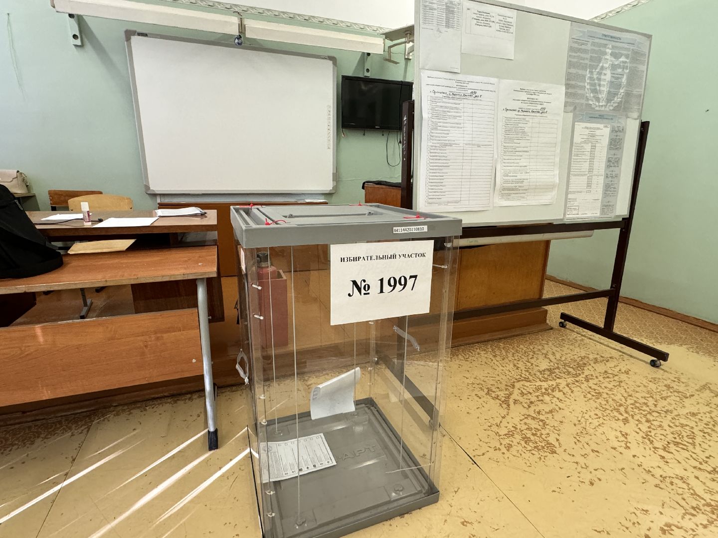 Выборы 2024, Одинцово, денис майданов, подмосковье голосует,