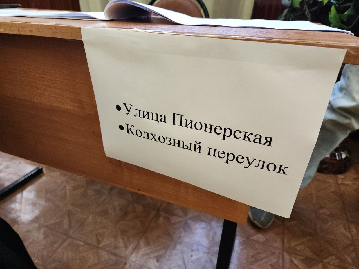 Солнечногорск, Избиратели, выборы 2024, выборы депутатов в совет депутатов, впервые голосующие,