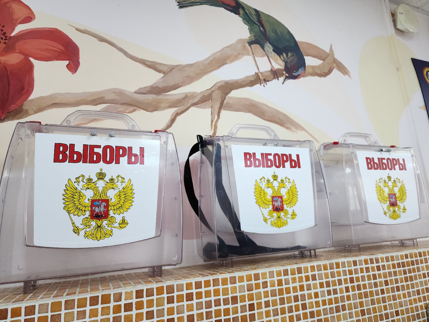 Выборы, Выборы 2024, Муниципальные выборы, Голосование в совет депутатов, Видное, Финалтный день голосования,