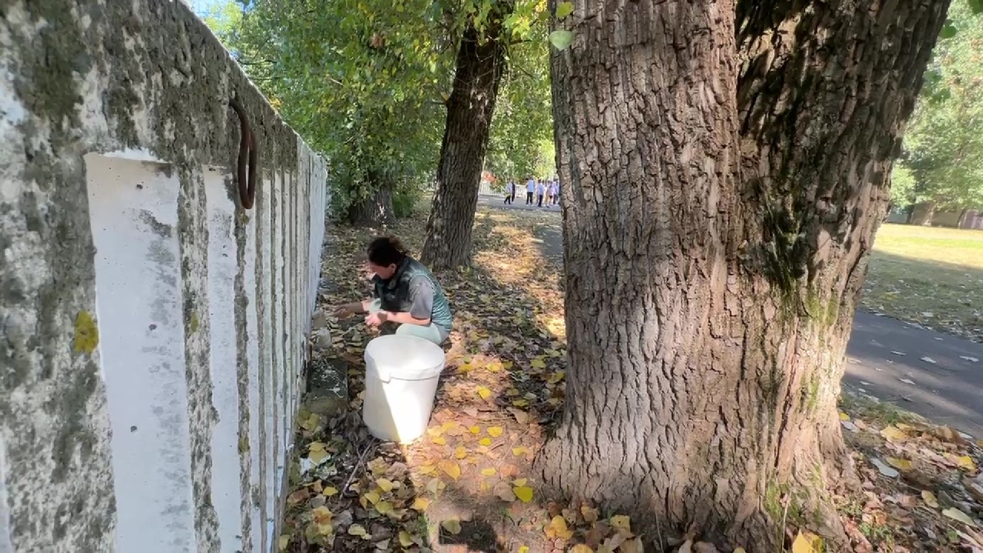 Реутов, образование, благоустройство, школа 4, забор,