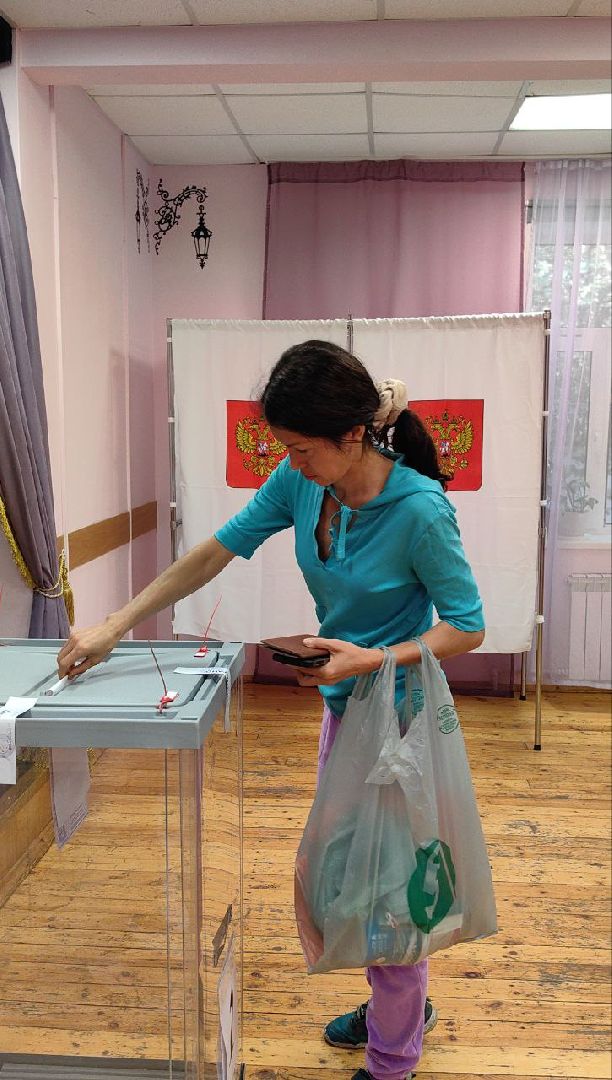 уик, выборы, депутат, голосование,