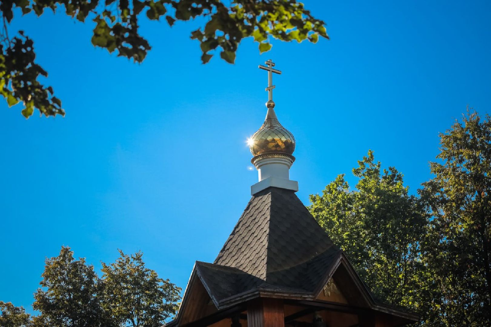 Муниципальные выборы, Выборы, ДЭГ, Пересвет, Сергиево-Посадский городской округ,