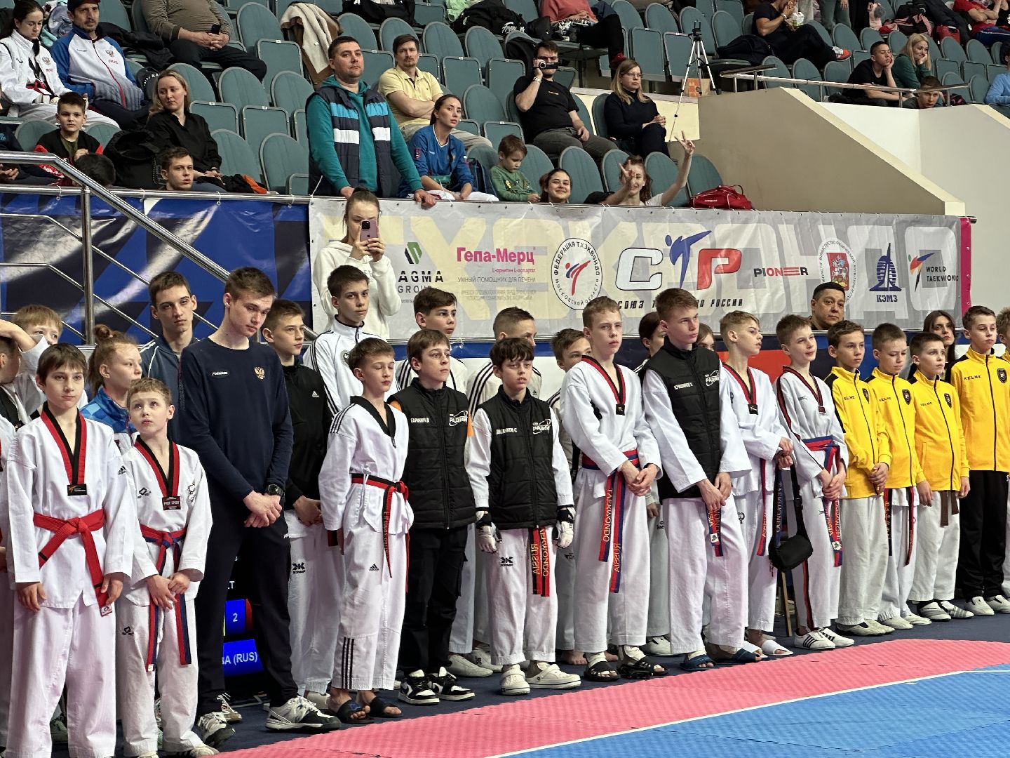 Одинцово, Тхэквондо, Федерация спорта