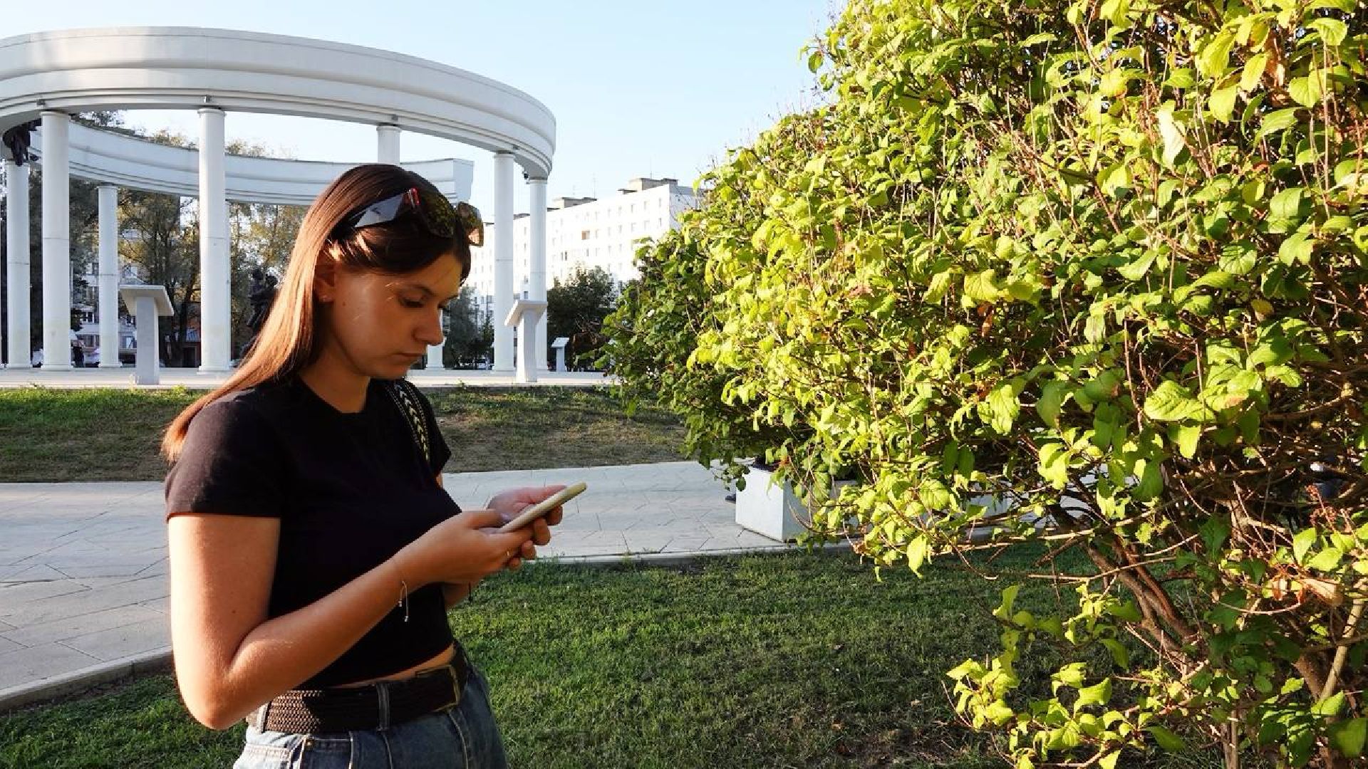 Муниципальные выборы, Сергиев Посад, Выборы, ДЭГ,