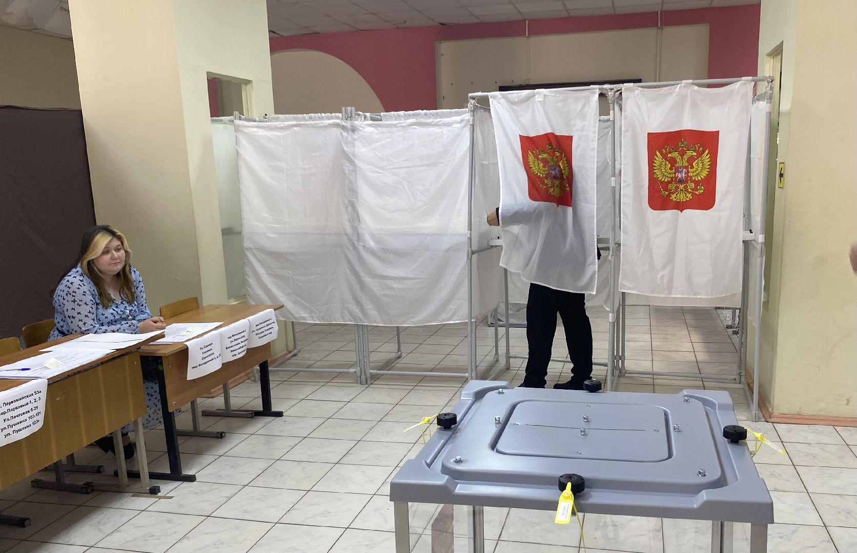 луховицы, выборы 2024,