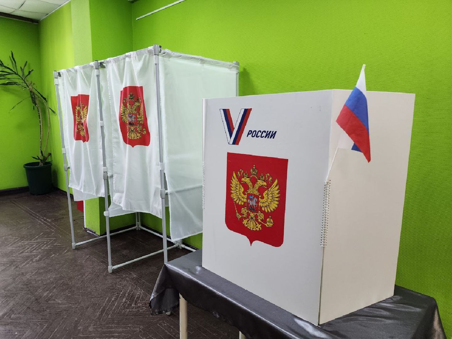 Солнечногорск, Выборы, избирательная комиссия, избиратели, Жители,