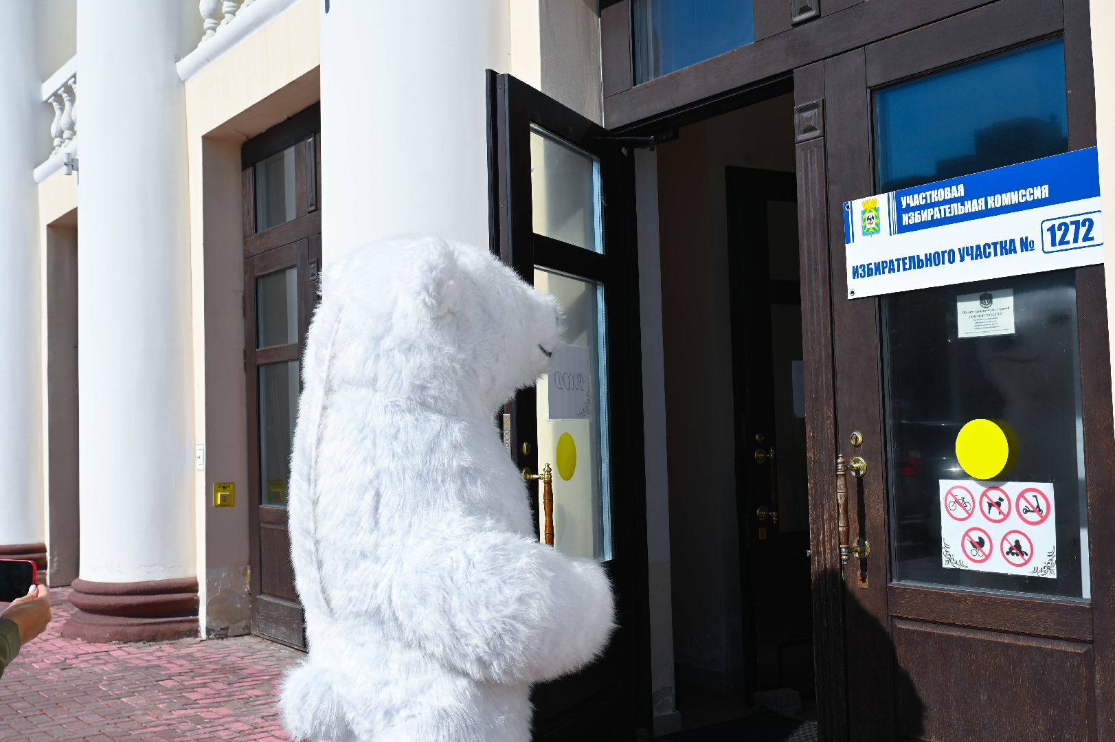 выборы, белый медведь, выборы 2024, голосование в совет депутатов ленинского округа,медведь голосует, на выборы пришел медведь,медведь в ленинском округе,