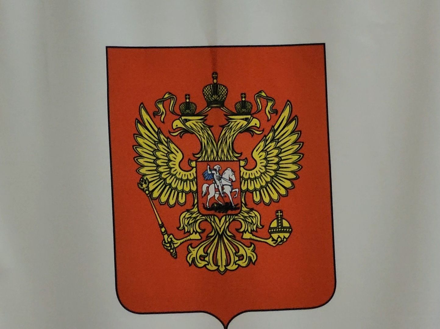 Дубна, Выборы, Голосование, Выборы 2024, Совет депутатов,