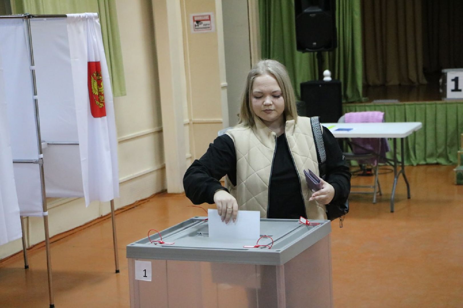 лотошино, выборы, выборы в совет депутатов 2024,