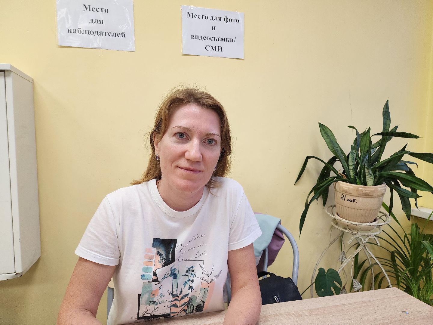 Подольск, Выборы, голосование, наблюдатель,