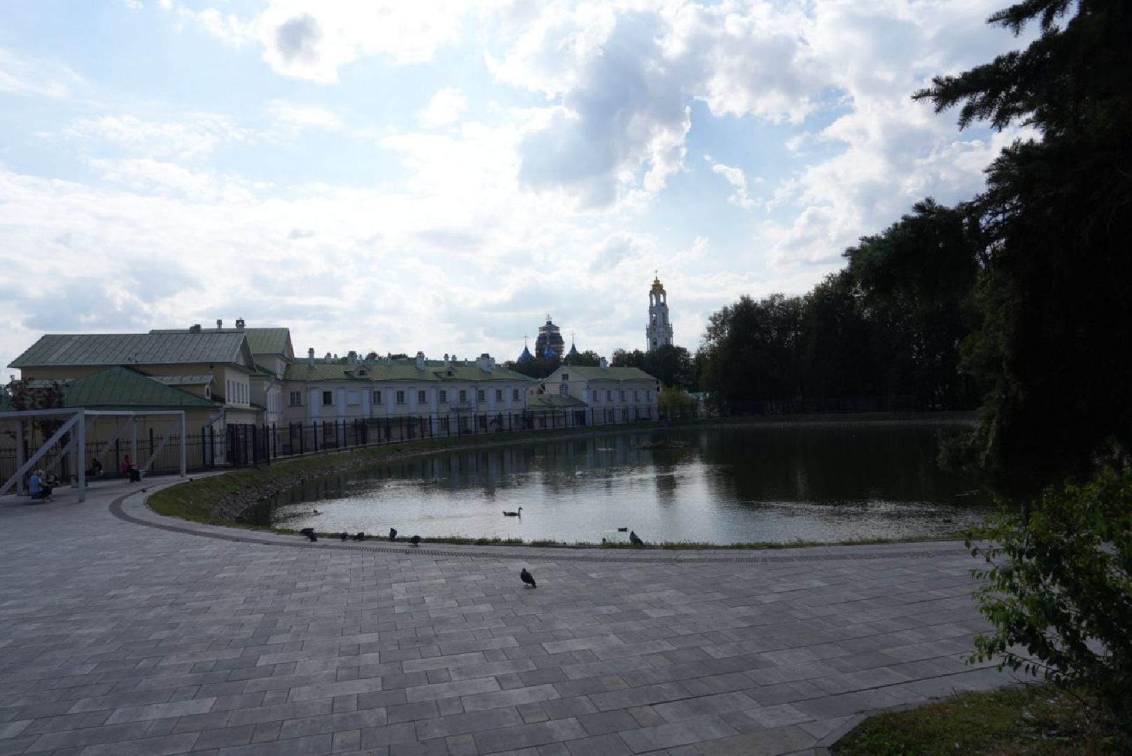 Лебеди, Сергиев Посад,Птицы, Общество,