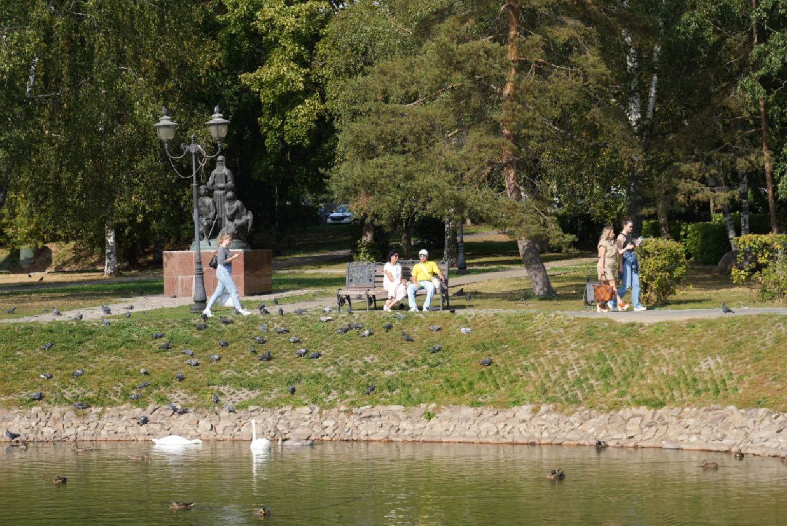 Лебеди, Сергиев Посад,Птицы, Общество,