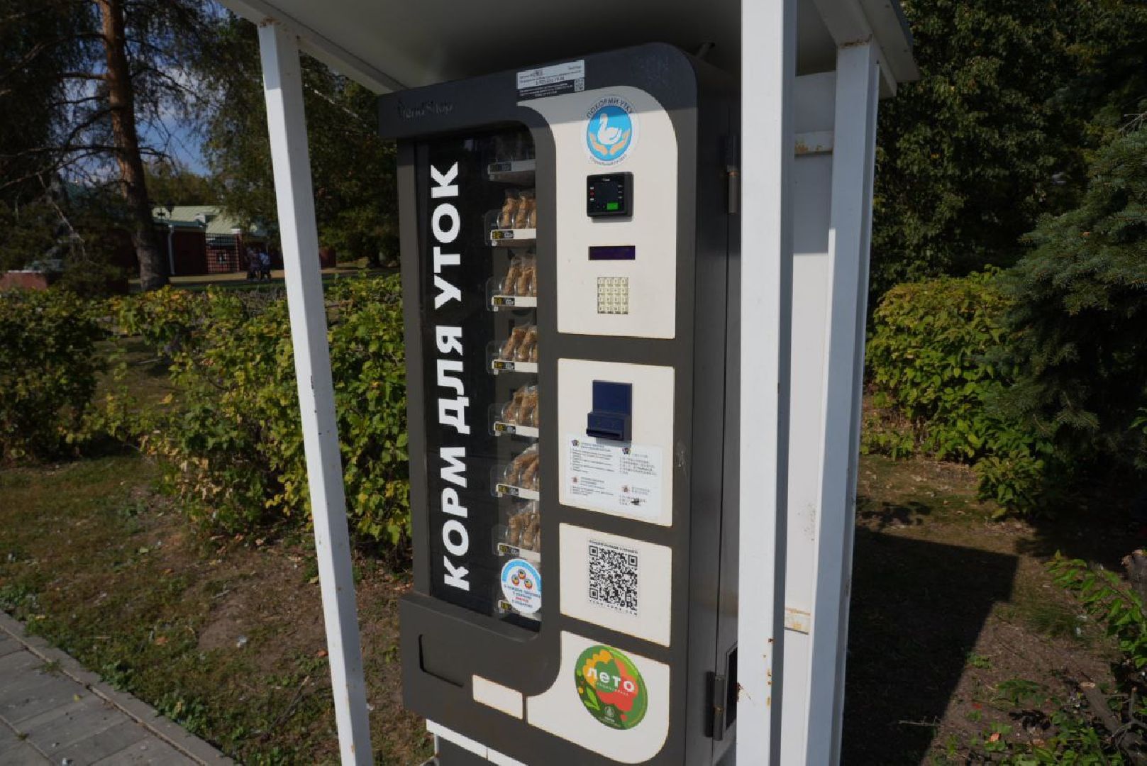 Лебеди, Сергиев Посад,Птицы, Общество,