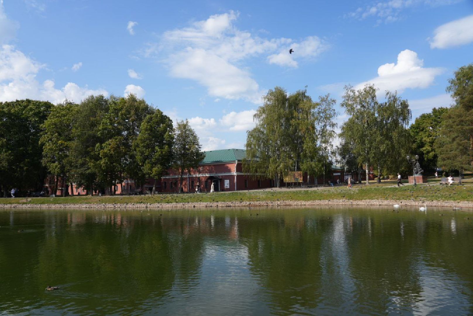 Лебеди, Сергиев Посад,Птицы, Общество,