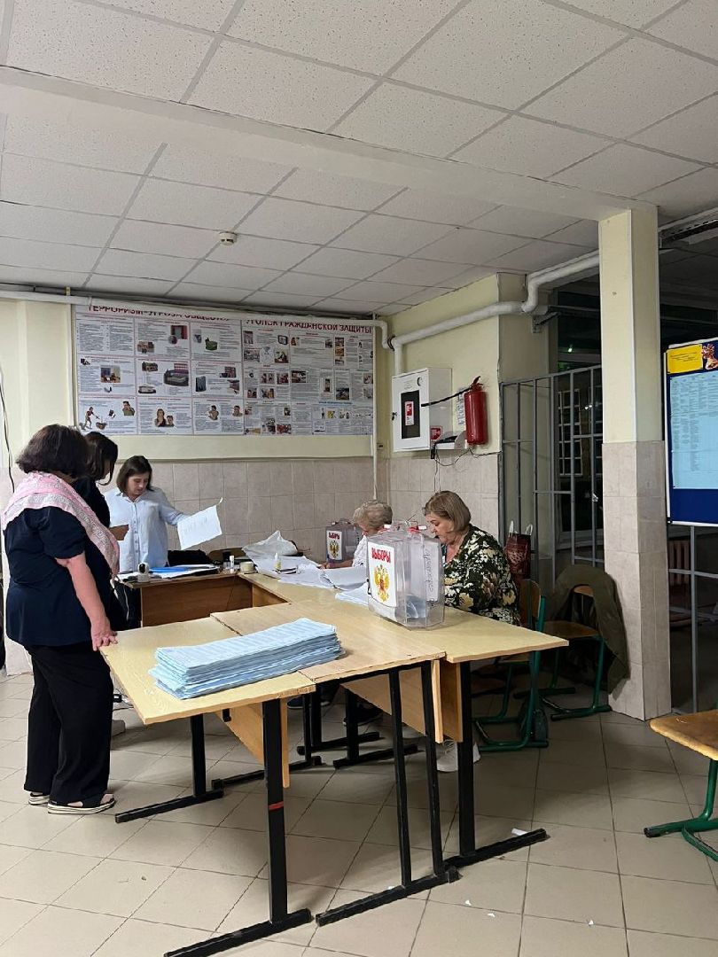 выборы, гражданский долг, подсчет голосов, уик,