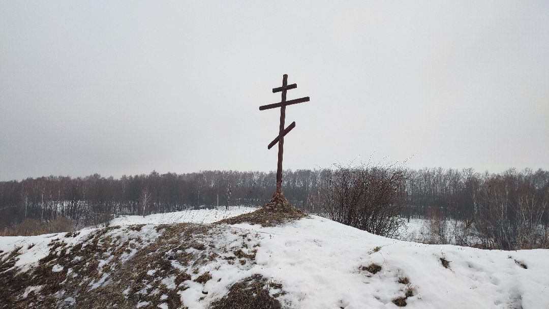 Кашира, общество