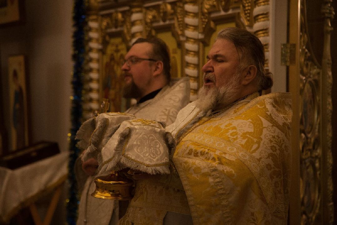 Кашира, общество