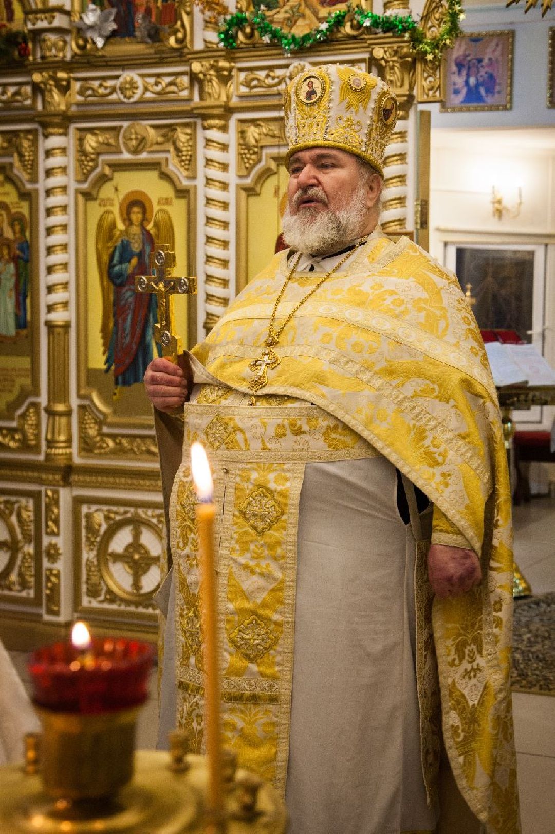 Кашира, общество