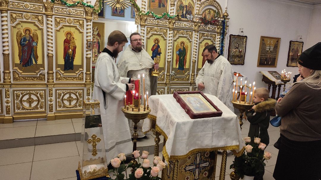 Кашира, общество