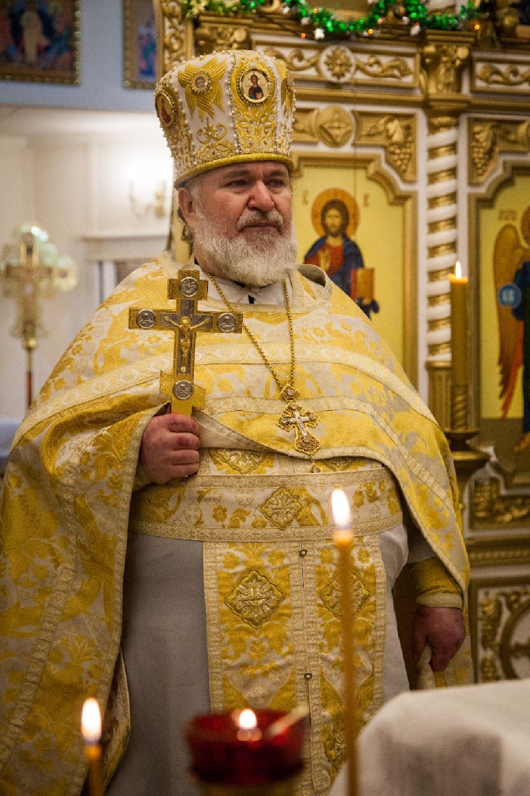 Кашира, общество