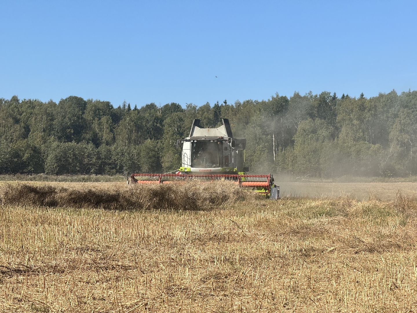 шаховская, уборка полей, сельское хозяйство,