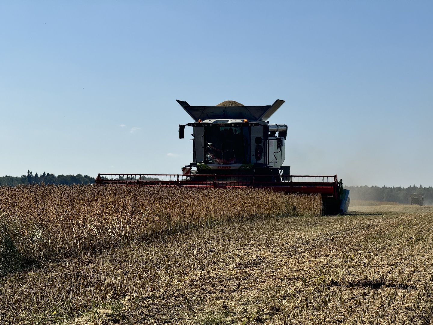 шаховская, уборка полей, сельское хозяйство,