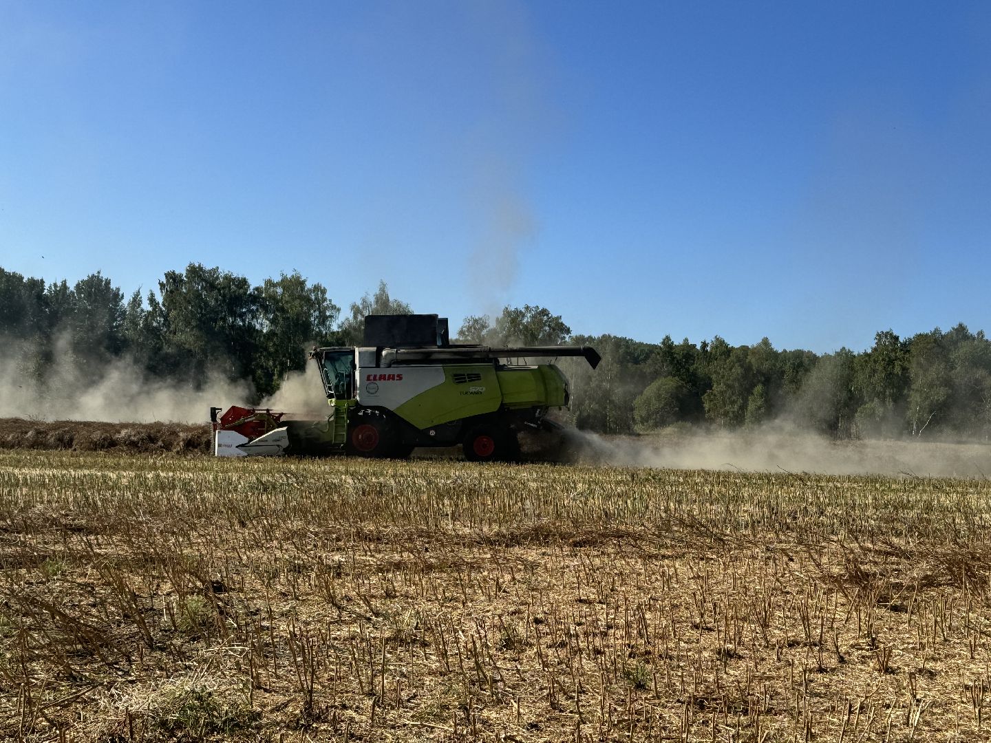шаховская, уборка полей, сельское хозяйство,