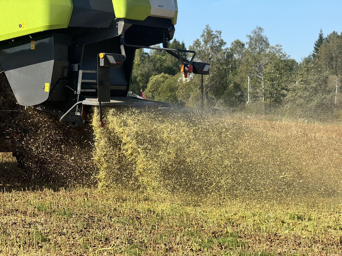 шаховская, уборка полей, сельское хозяйство,