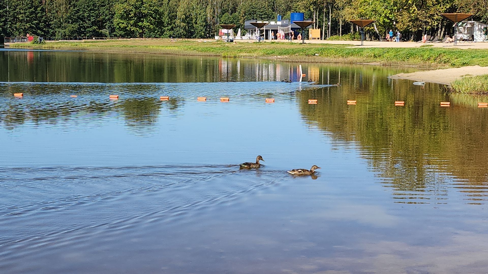 турслёт, образование, лицей 14, электросталь, электросталь спортивная, школьники, день здоровья, здоровый образ жизни, здоровый выбор, парк авангард,